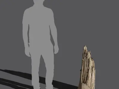  Medium Broken Splintered Decaying Bare Stump Model 