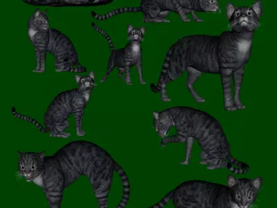 wendys tabby cat  1 3D model