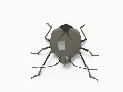 Bug low poly polygonal Low-poly 3D model