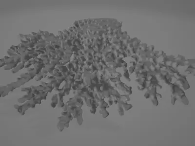 Intricate 3D scanned live Coral  3D model