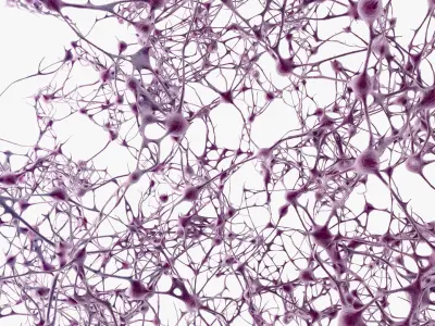 Neurons Network 3D model