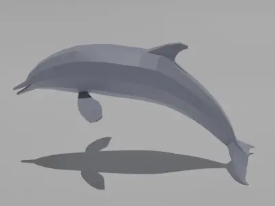 Dolphin Low-poly 3D model buy