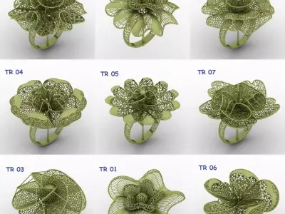 TR-75 ULRTA FUSION TURKISH RINGS LOT 3D print model