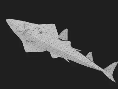 Skate Low-poly 3D model shop