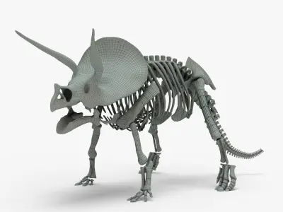 Triceratops Rigged Skeleton Low-poly 3D model