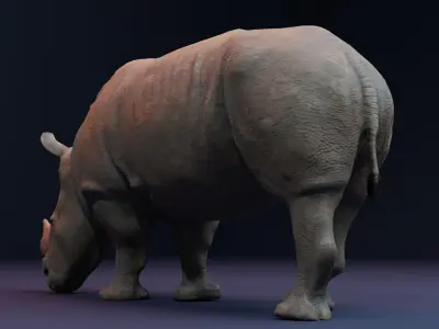 Rhino 3D Animation Model  3D model