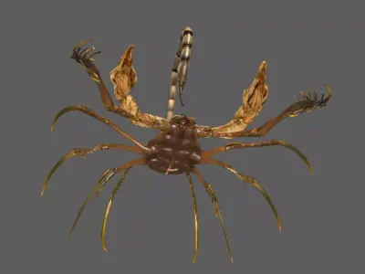 Scorpion 3D model get