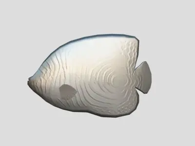 Emperor Angelfish Realistic Animated Low-poly 3D model purchase