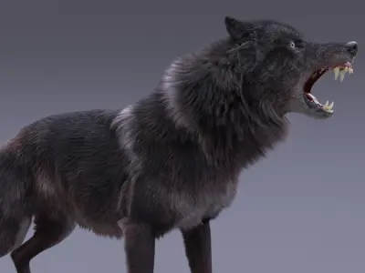 Black Wolf Rigged 3D model