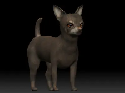 Chihuahua Dog Low-poly 3D model