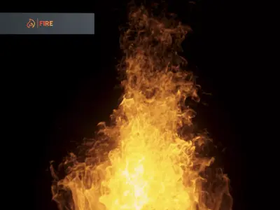 3D Bonefire fire 3D model