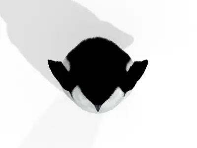 Penguin chick Black and white Fairy bird animal 3D model