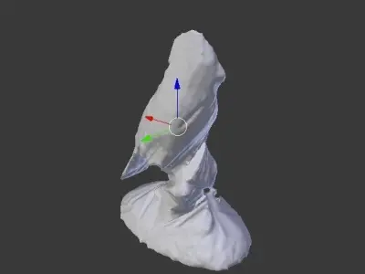 Bird topology  3D model