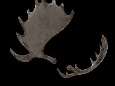 antlers horn 01 3D model