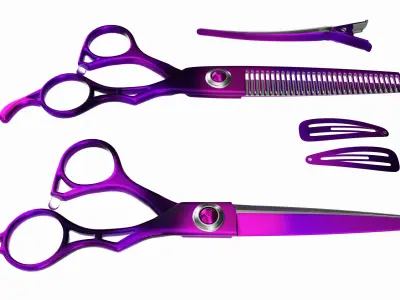 Hair Cutting Thinning Scissors Set Colorful 3D model