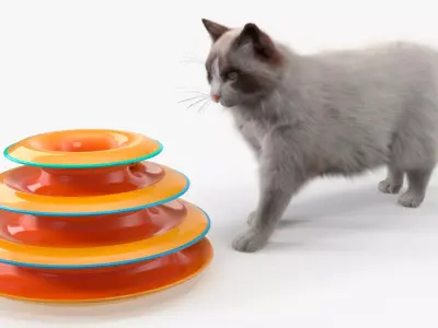 Circular Cat Toy Tower with Moving Balls Fur Animated Rigged 3D model purchase