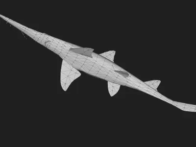 Shark Low-poly 3D model 38