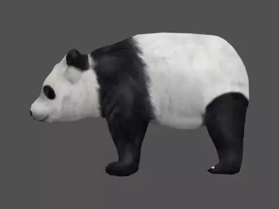 Panda bear Low-poly 3D model