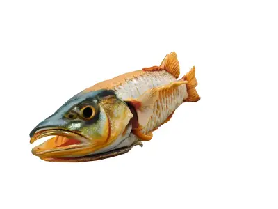 Realistic Dried Fish 3D Model Low-poly 3D model