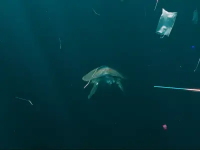 TURTLE 3D model get