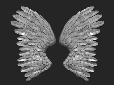 Wing -art 3D print model