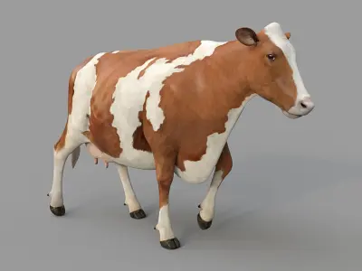 Cow PRO Ayrshire 3D model