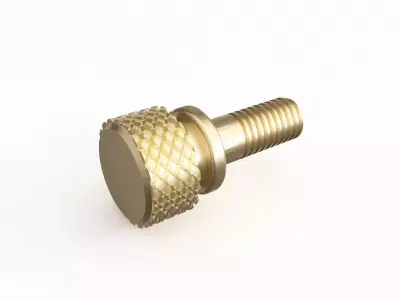 Screw 46 3D model