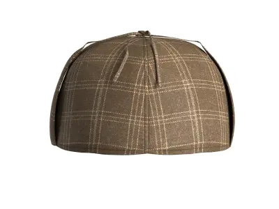Brown Check Hat 3D model