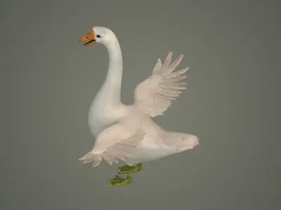 goose bird nature water grass animal neck  3D model