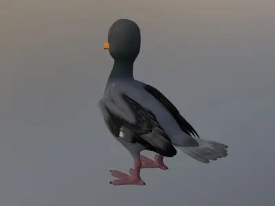 pigeon cartoon rigged character 3D model