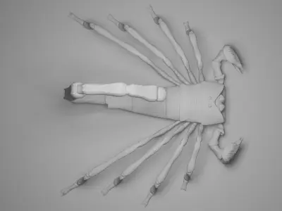 Scorpion 3d Low-poly 3D model