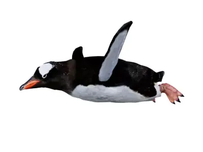 Penguin Low-poly 3D model shop