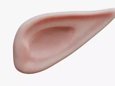 Stylized elf ear Low-poly 3D model