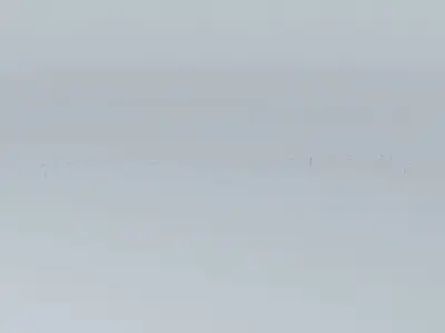 deck rope Free 3D model