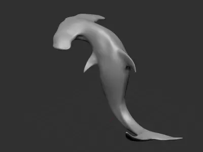Hammer Shark 3D model