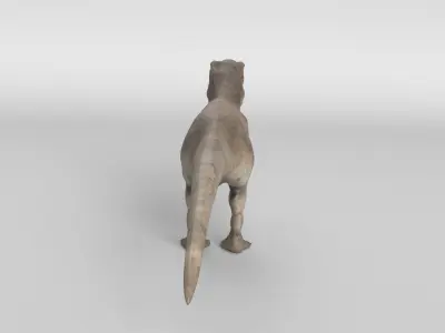 Tyrannosaurus Rex 3D model 8