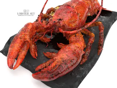 lobster set on slate 3D model
