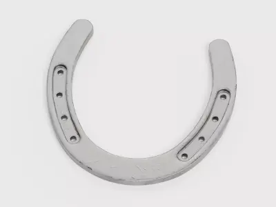-Horseshoe- 3D model