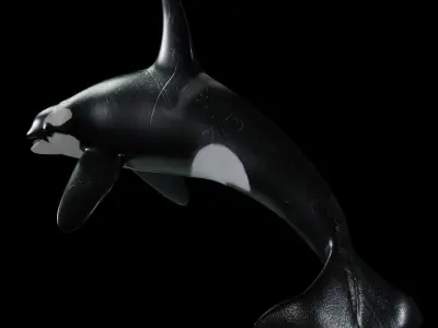 Killer Whale 3D model shop