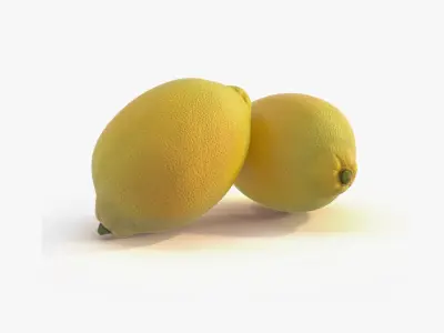 Lemon and Lime Collection 3D model