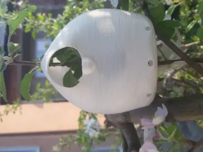 Balloon Birdhouse Free 3D print model