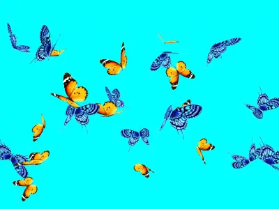 beautiful butterflies Low-poly 3D model