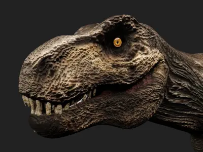 Tyrannosaurus Rex Low-poly 3D model 15