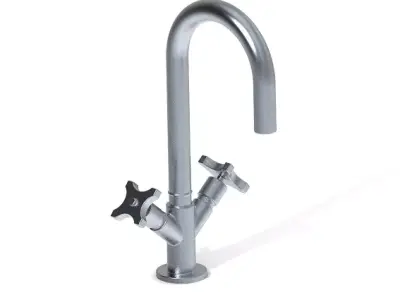 Stylish Wash Mixer Tap 3D print model
