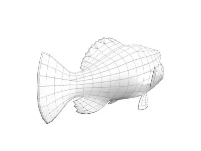 Peacock Bass Fish Cartoon Animated Low-poly 3D model