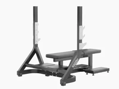 Technogym Olympic Flat Bench Pure 3D model