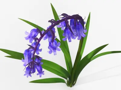 Bluebell Plants Set Mixed 3D model