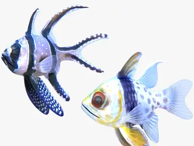  Banggai and Spotted Cardinalfish 