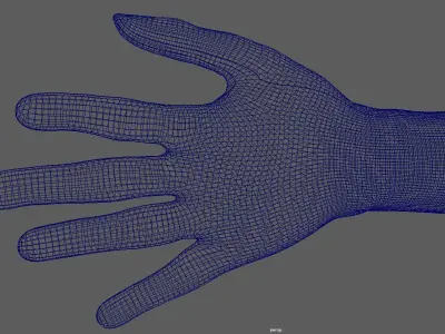 high resolution hand ready for close shoots  3D model