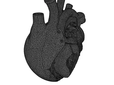 Futuristic Cybernetic Heart 3D Model 3D model